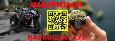 шишки Дубна