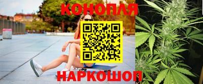 шишки Дубна